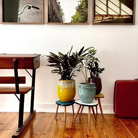 Apartament New Art *